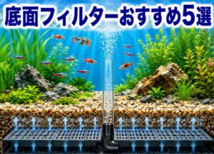 水槽用底面フィルターの最強おすすめ5選｜プロ愛用の高性能モデル徹底比較