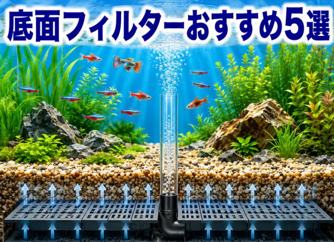 水槽用底面フィルターの最強おすすめ5選|プロ愛用の高性能モデル徹底比較