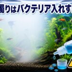 水槽の白濁りはバクテリア入れすぎが原因？正しい量と対処法を解説