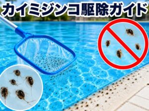 カイミジンコの駆除方法を完全ガイド！プール管理者必見の対策法