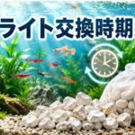 水槽のゼオライト交換時期を見逃すと危険？最適な交換タイミングを解説