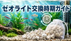 水槽のゼオライト交換時期を見逃すと危険？最適な交換タイミングを解説