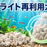 水槽のゼオライト を再利用する方法|コストを削減して長く使う秘訣