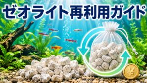 水槽のゼオライト を再利用する方法|コストを削減して長く使う秘訣