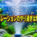 水槽のエアレーションやり過ぎは危険？影響と適切な酸素供給の方法