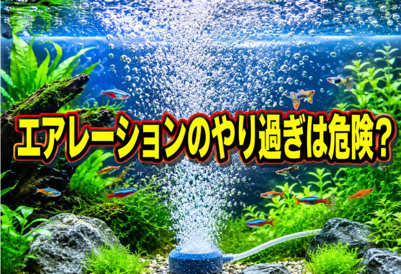 水槽のエアレーションやり過ぎは危険?影響と適切な酸素供給の方法