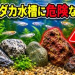 メダカ水槽に入れてはいけない石とは？危険な石を完全解説