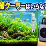 水槽クーラーがいらない理由とは？実は必要ない場合の条件を解説