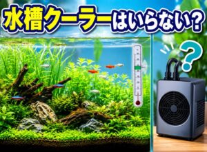 水槽クーラーがいらない理由とは？実は必要ない場合の条件を解説