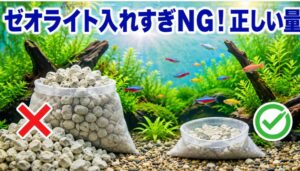 水槽のゼオライト入れすぎはNG！正しい量と効果的な使い方を解説