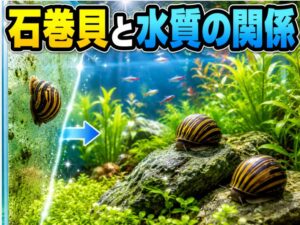 石巻貝が水質に与える影響とは？飼育のコツで水を綺麗に保つ方法