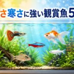 暑さ寒さに強い観賞魚5選！初心者も飼いやすい丈夫な魚たち