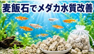 麦飯石でメダカの水質改善！効果的な使い方と選び方のコツ