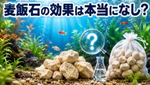 麦飯石の効果は本当になし？水槽での正しい使い方と科学的根拠