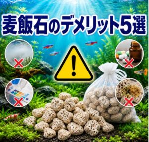 麦飯石を水槽に使う前に知るべきデメリット5選と対策法