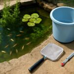 メダカ飼育を屋外で始めるなら必要なものをすべて揃えよう