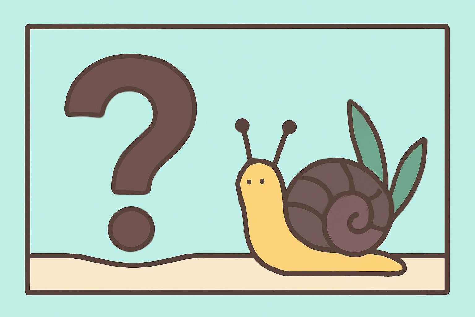 フネアマ貝についての疑問と回答のイメージ