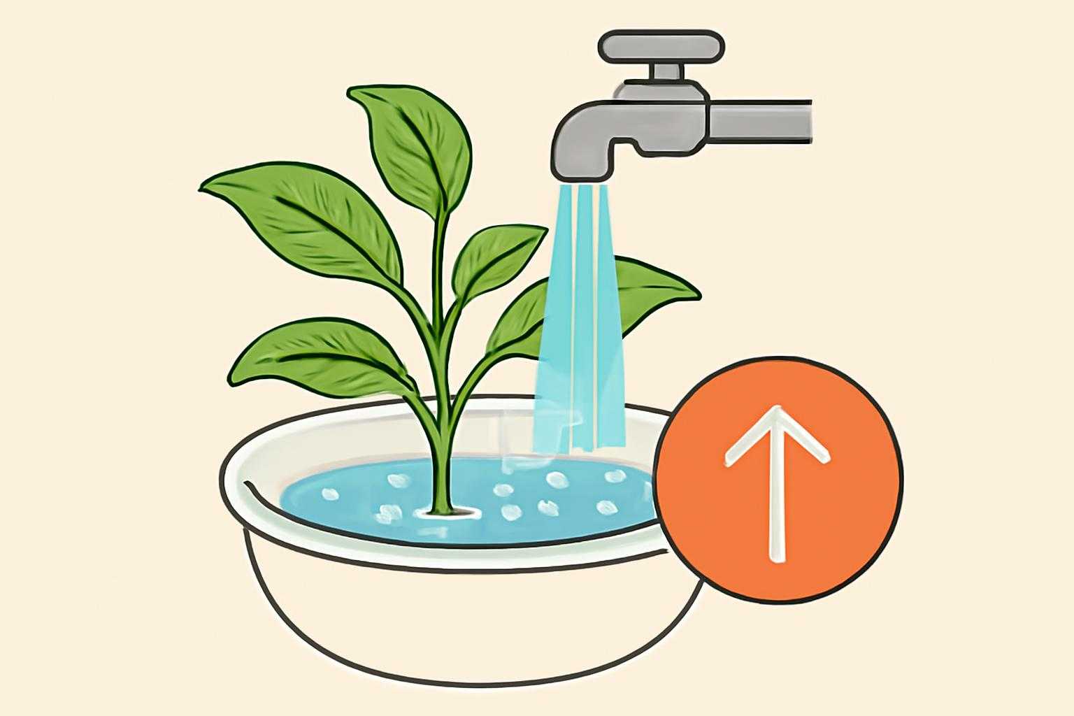 水草を水に浸して農薬を落とすプロセス