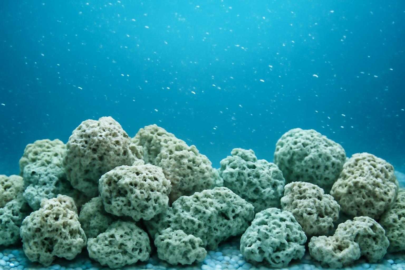 清潔な水槽でゼオライト石が水を浄化している様子