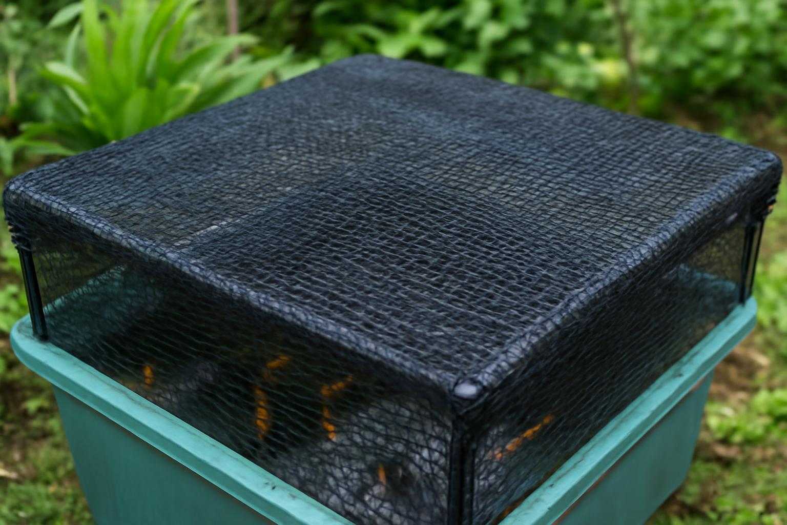 黒い寒冷紗で覆われたメダカの飼育容器のクローズアップ